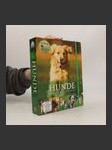 Hunde - náhled