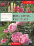 Jakou rostlinu kam zasadit - náhled