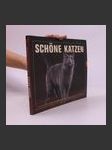 Schöne Katzen - náhled