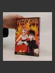 Flame of Recca vol.1 - náhled