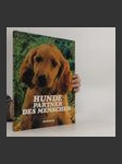 Hunde - náhled