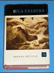 Bílá velryba - náhled