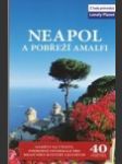 Neapol  a  pobřeží  amalfi - náhled