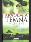 Akadémia temna: Rozdelené duše - náhled