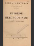 Divokou Hercegovinou, Neporušená - náhled