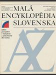 Malá encyklopédia Slovenska - náhled