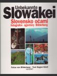 Unbekannte slowakei - slovensko očami fotografov agentúry bilderberg - náhled