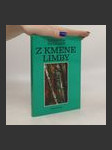 Z kmene limby - náhled