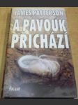 A pavouk přichází - náhled