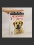 Labradorský retriever - náhled