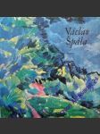 Václav špála - kotalík jiří - náhled