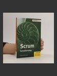 Scrum - náhled