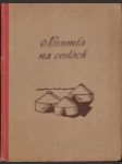 Brumla na cestách - náhled