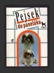 Pejsek do paneláku - náhled