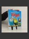 Das grose illustrierte Buch der Vögel - náhled