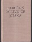 Stručná mluvnice česká - náhled