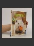 Hamster - náhled