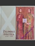 Žilinská diecéza 2008- 2018 - náhled