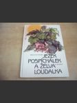 Ježek Pospíchálek a želva Loudalka - náhled