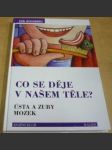 Co se děje v našem těle? Ústa a zuby, mozek - náhled