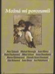 Možná mi porozumíš - náhled