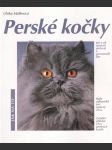 Perské kočky - náhled