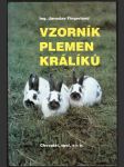 Vzorník plemen králíků - náhled