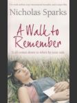 A Walk to Remember - náhled