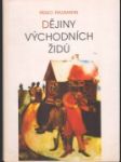 Dějiny východních Židů - náhled