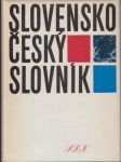 Slovensko-český slovník - náhled