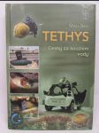 Tethys: Cesty za kouzlem vody - náhled