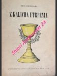 Z kalicha utrpenia - rozpomienky na zážitky v koncentračnom tábore v ilave - gál podďumbiersky ján - náhled