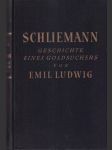 Schliemann Geschichte eines goldsuchers - náhled