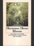 Bäume hesse - náhled