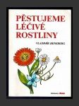 Pěstujeme léčivé rostliny - náhled