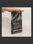 The perfect storm : a true story of man against the sea - náhled