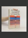 Antologie americké literatury - náhled