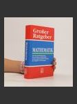 Großer Ratgeber. Mathematik - náhled