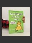 Garfield obléhá dům - náhled