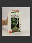 Bonsai für das Zimmer - náhled