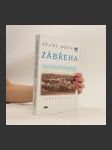 Dějiny města Zábřeha od nejstarších časů až do roku 1900 - náhled