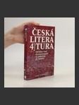 Česká literatura 4. Od roku 1945 do současnosti. - náhled