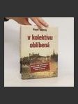 ...v kolektivu oblíbená : Hana a její neobyčejně každodenní cesta mezi knihami - náhled