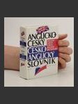 Anglicko-český česko-anglický slovník - náhled