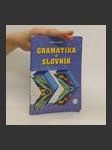 Gramatika a slovník - náhled