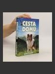 Cesta domů - náhled