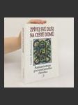 Zpívej své duši na cestě domů : šamanismus pro současného člověka - náhled