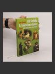 Od Ježíše k televizní stávce aneb jaké byly první roky staletí (1-2001) - náhled