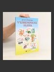 Procvičujeme vyjmenovaná slova - hrajeme si - náhled