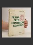 Praha před husitskou revolucí - náhled